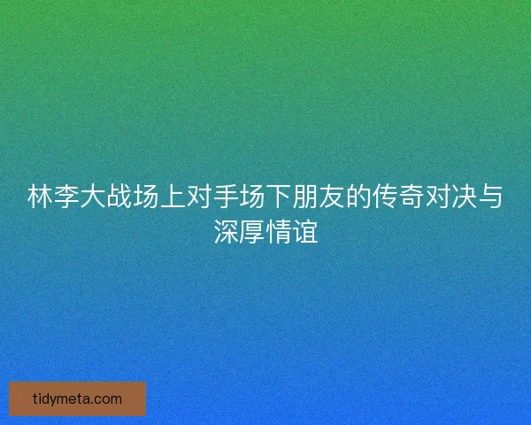 林李大战场上对手场下朋友的传奇对决与深厚情谊