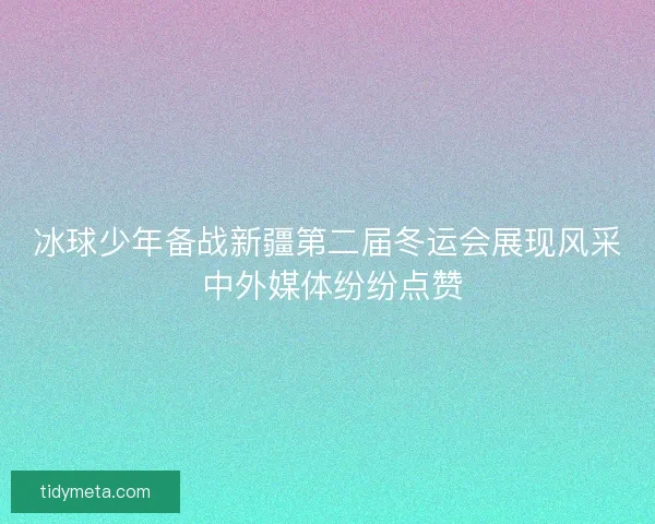 冰球少年备战新疆第二届冬运会展现风采 中外媒体纷纷点赞
