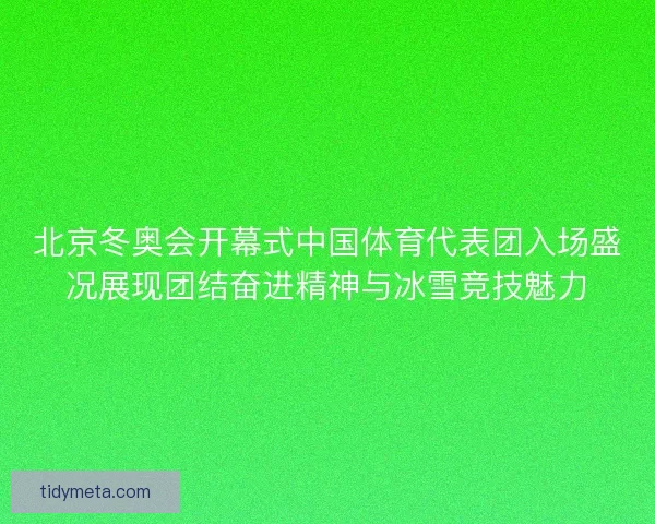 北京冬奥会开幕式中国体育代表团入场盛况展现团结奋进精神与冰雪竞技魅力